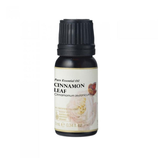 Ausganica - 100% Certified Organic Essential Oil Cinnamon Leaf 10ml - GAINS HEALTH AND NUTRITION